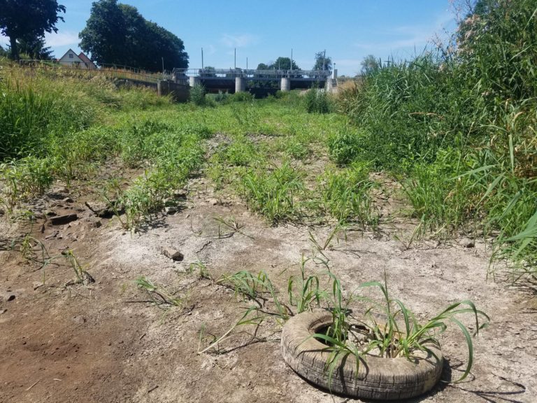 Tagebaufolgen, Wasserstoff, Klimakrise: Lausitzer Bündnisgrüne fordern Wassergipfel zum koordinierten Umgang mit dem knappen Gut Wasser