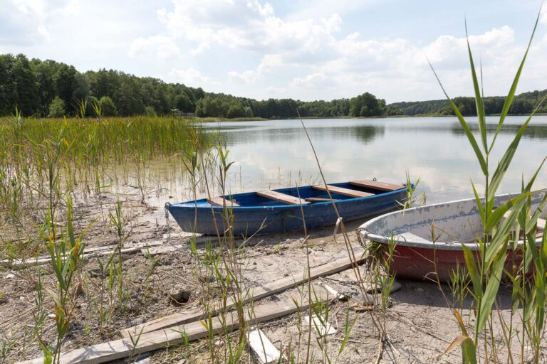 Bündnisgrüne Wasserkonferenz am 10. Juni in Cottbus (hybrid): „Stehen vor einer Mammutaufgabe“