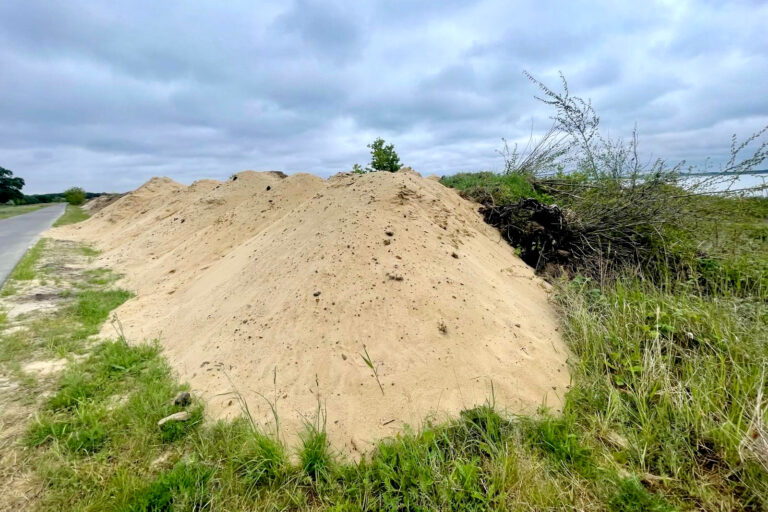 Lausitzer Bündnisgrüne fordern Aufklärung: Geschützte Vogelbrut durch Tagebaubetreiber LEAG am „Cottbuser Ostsee“ zerstört